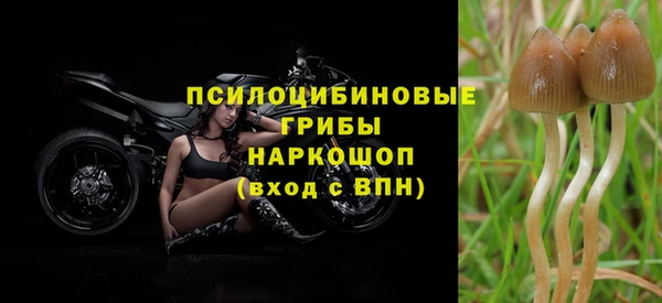 шишки Алексин