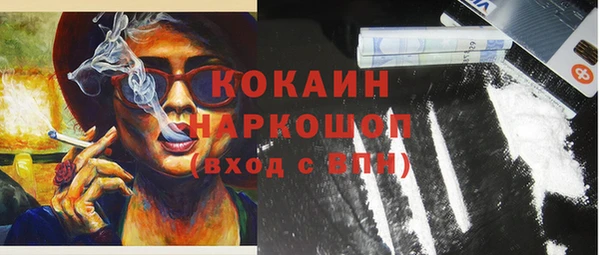 шишки Алексин