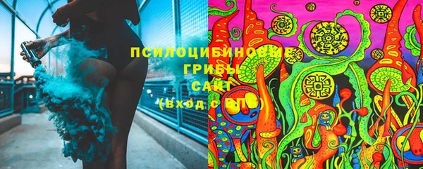 шишки Алексин