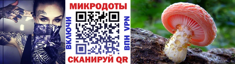 Псилоцибиновые грибы Psilocybe  закладки  Лагань 